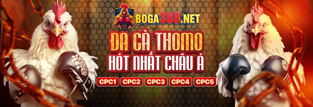 Các loại hình đá gà PKBET